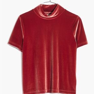 madewell velvet mockneck